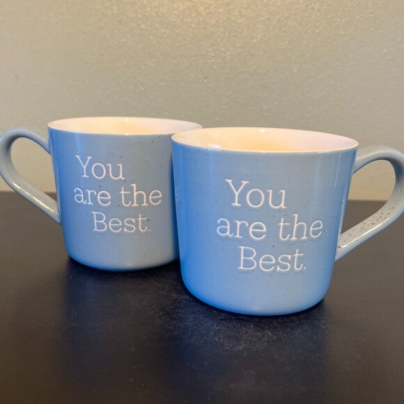 Two (2) Threshold YOU ARE THE BEST Robin Eggshell Blue Speckled Stoneware Mugs - Picture 1 of 9